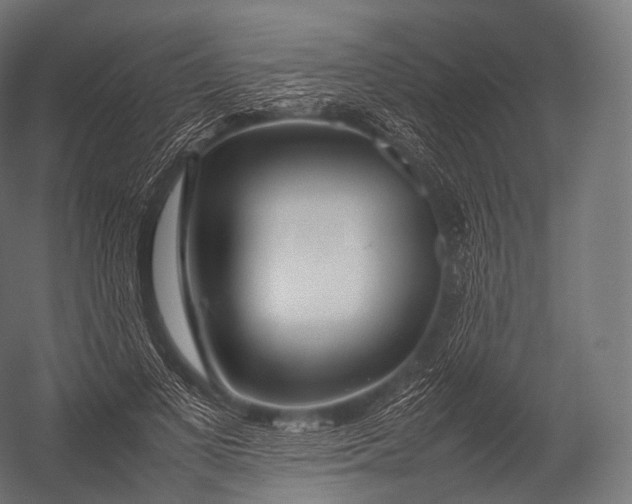 X0000052950693200507300045