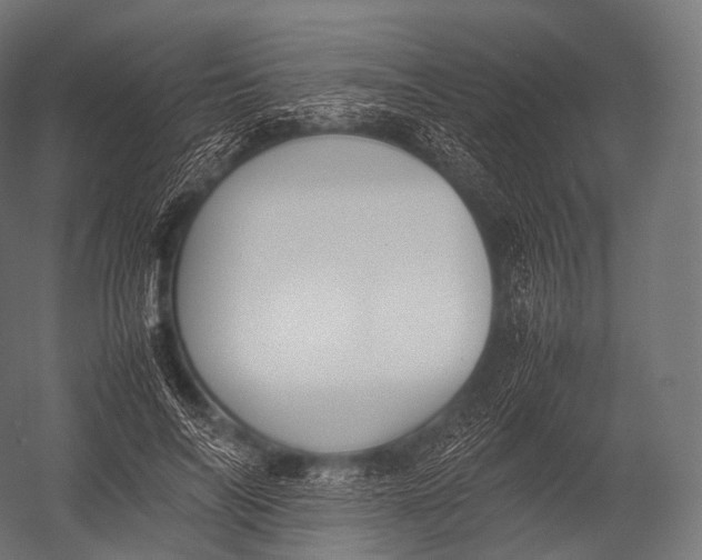 X0000052950694200507300045