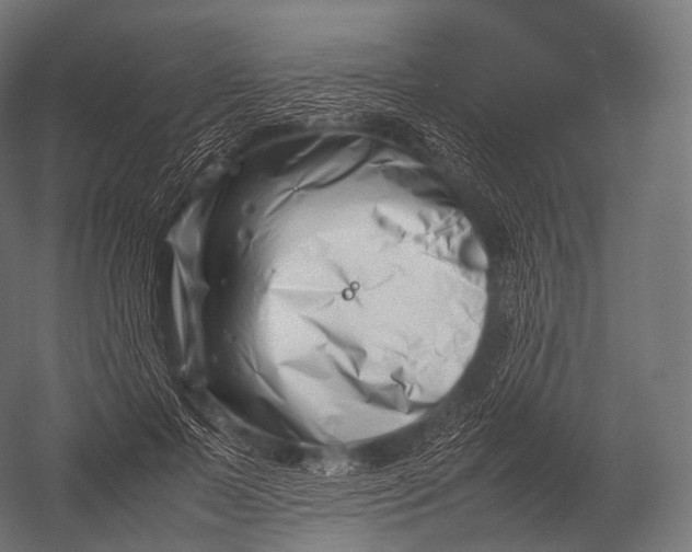 X0000052950695200507300045