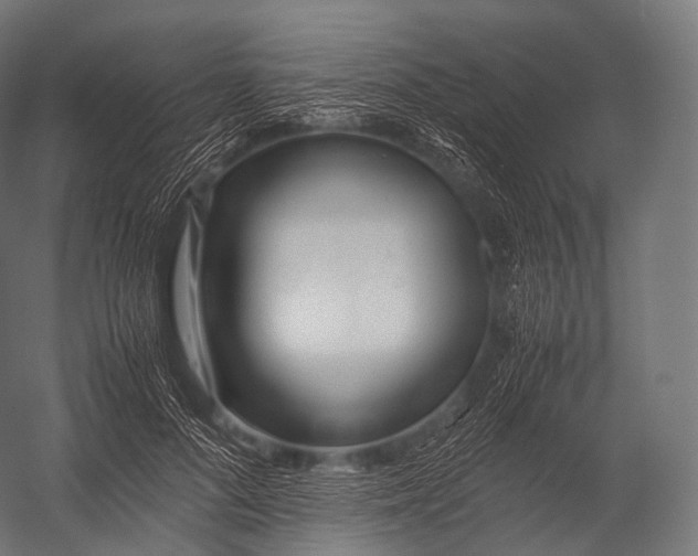 X0000052950696200507300045