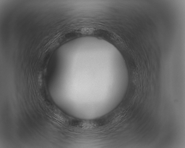 X0000052950697200507300045