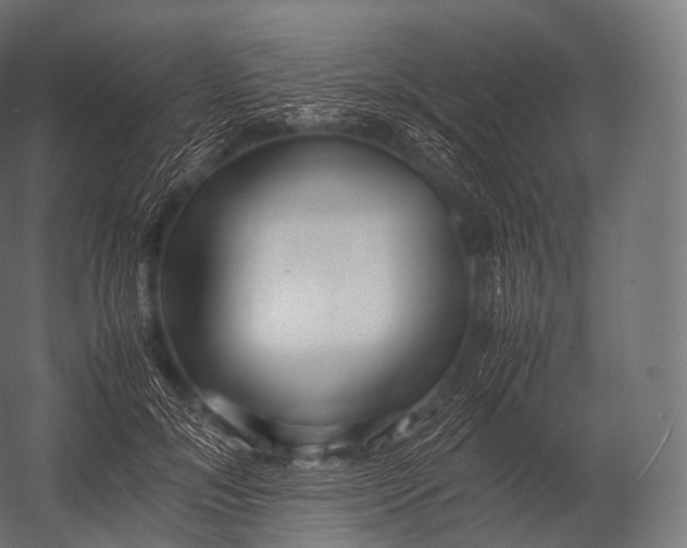 X0000052950700200507300045