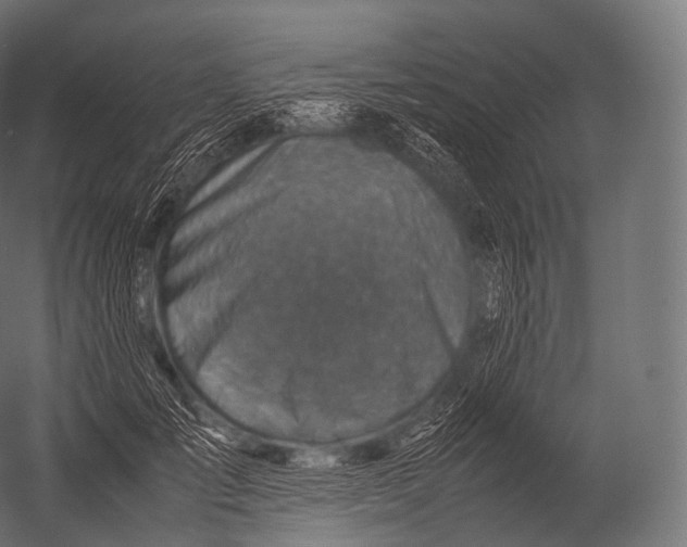 X0000052950701200507300045
