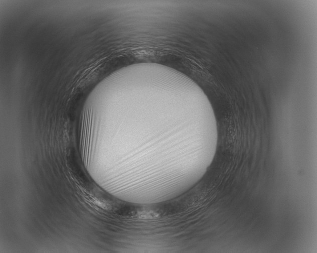 X0000052950702200507300045