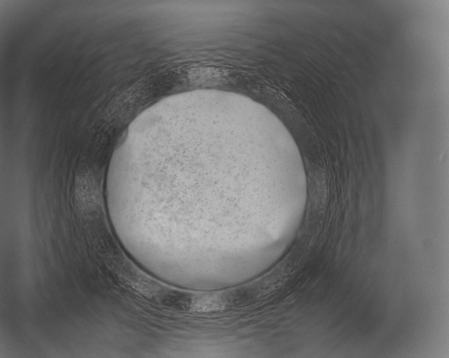 X0000052950705200507300045