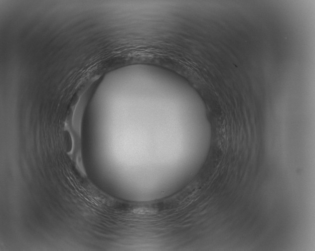 X0000052950708200507300045
