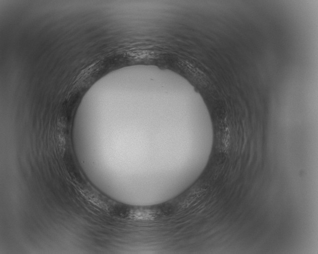 X0000052950710200507300045