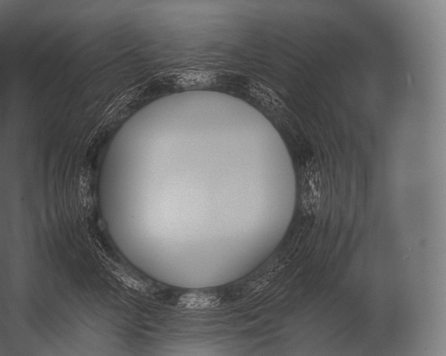 X0000052950714200507300045