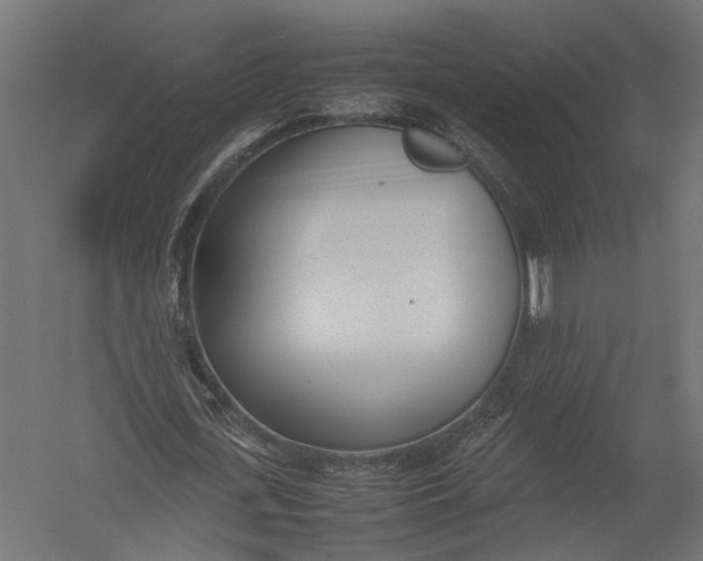 X0000052950723200507300044