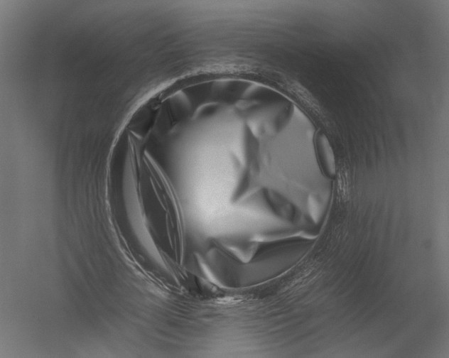 X0000052950724200507300044