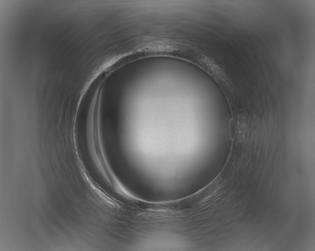 X0000052950726200507300044