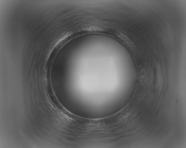 X0000052950727200507300044