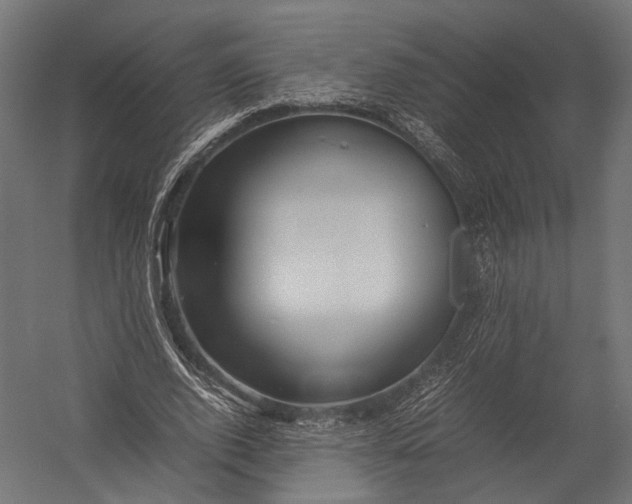 X0000052950728200507300044
