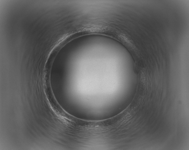 X0000052950730200507300044