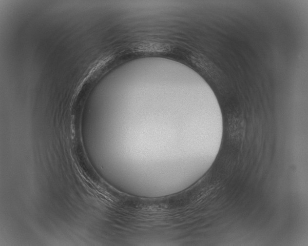 X0000052950731200507300044