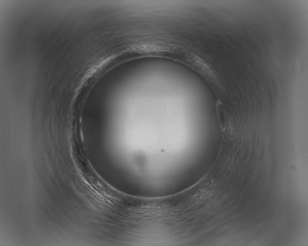 X0000052950732200507300044