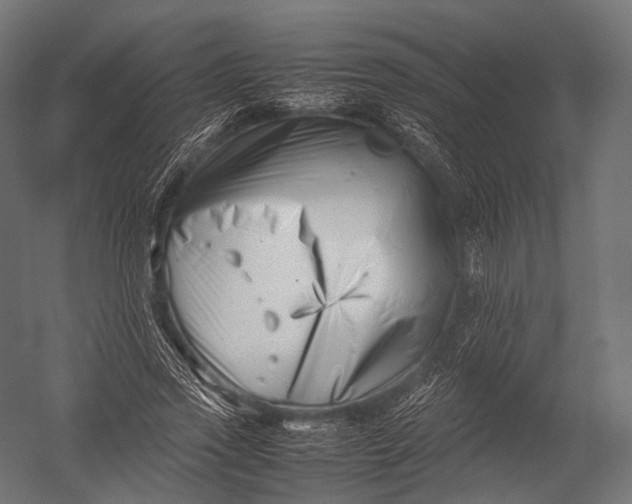 X0000052950733200507300044