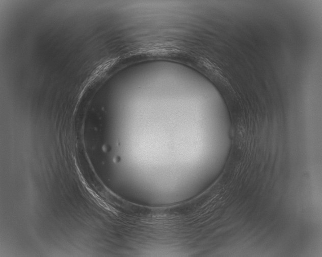 X0000052950734200507300044
