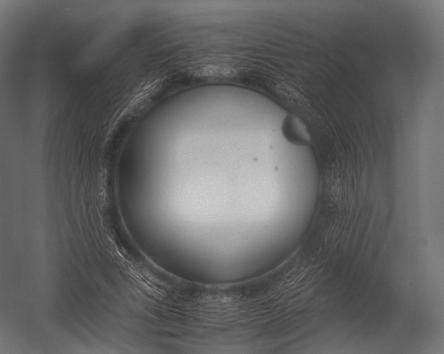 X0000052950735200507300044