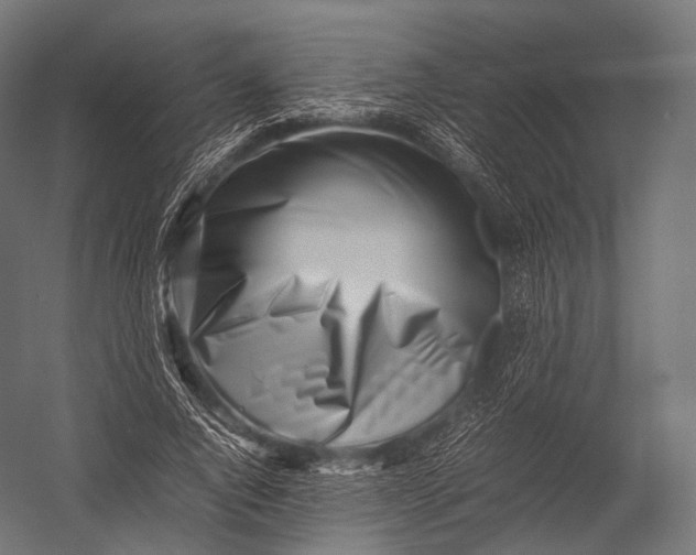 X0000052950736200507300044