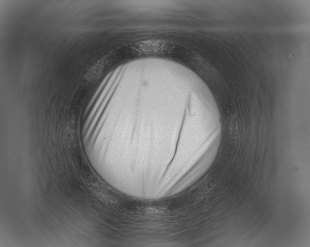 X0000052950737200507300044