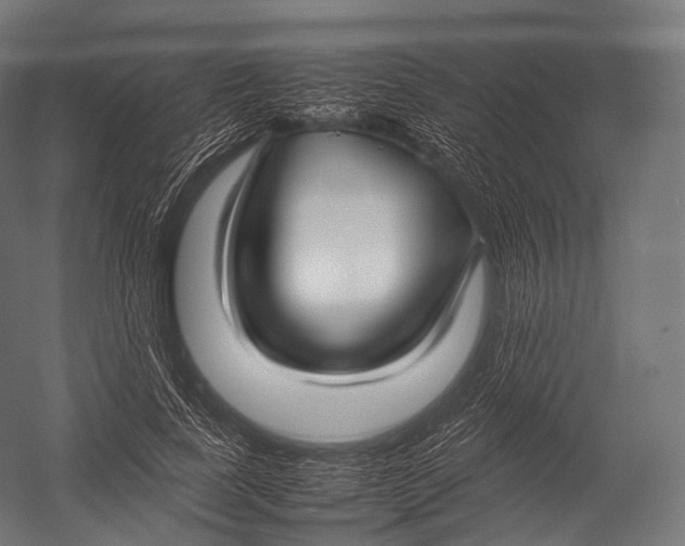 X0000052950739200507300044