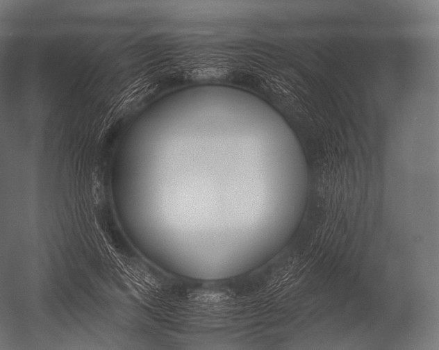 X0000052950743200507300044