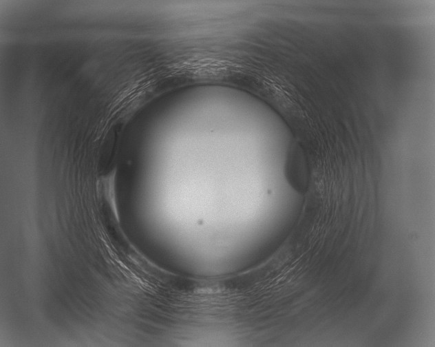 X0000052950744200507300045