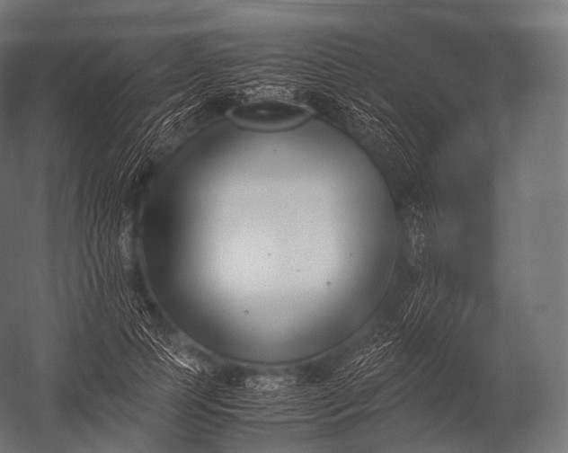 X0000052950745200507300045