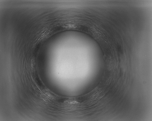 X0000052950747200507300045