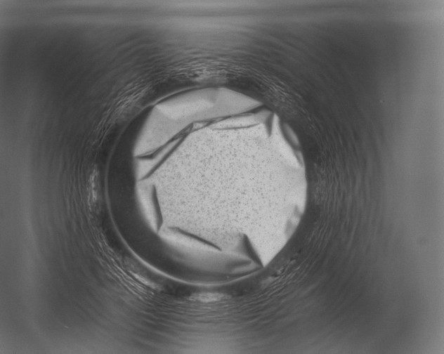 X0000052950748200507300045