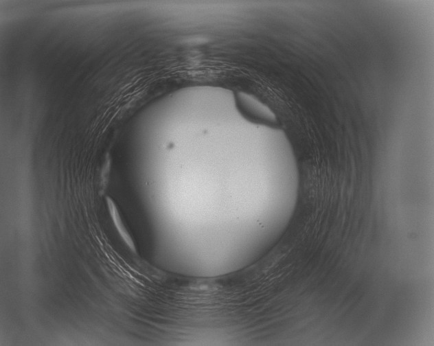 X0000052950752200507300045