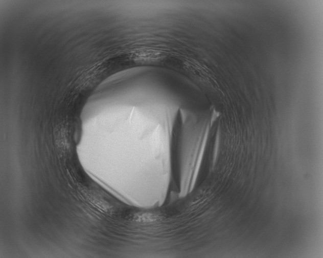 X0000052950755200507300045