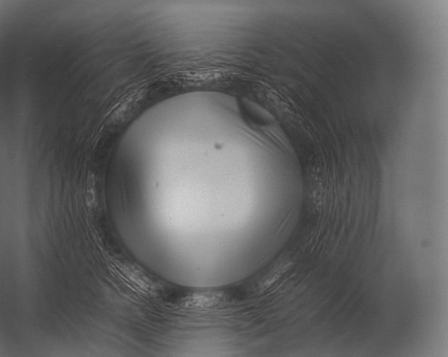X0000052950758200507300045