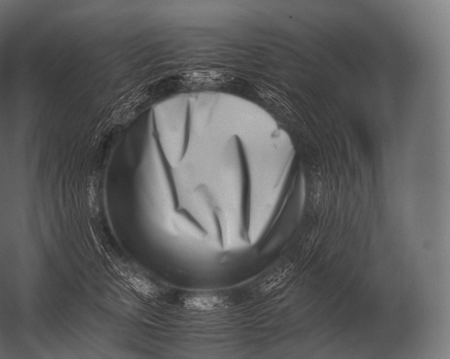 X0000052950759200507300045