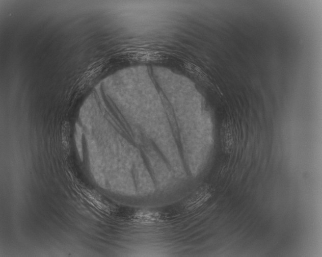 X0000052950760200507300045
