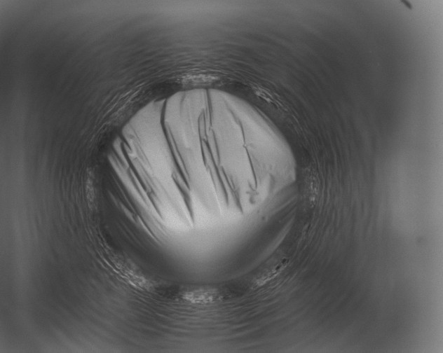 X0000052950761200507300045