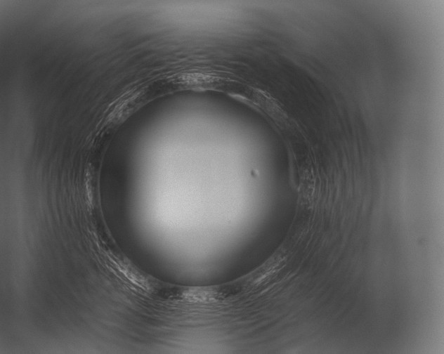 X0000052950762200507300045