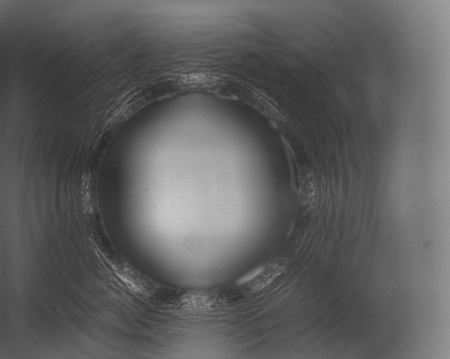 X0000052950764200507300045