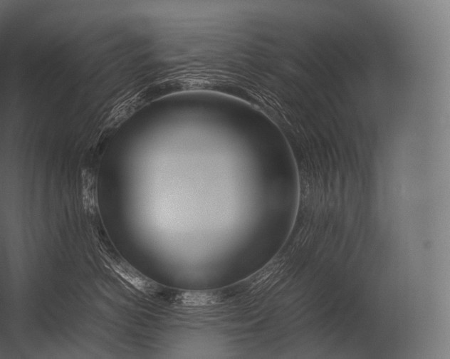 X0000052950766200507300045