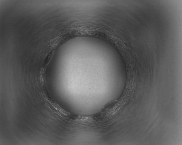 X0000052950768200507300045