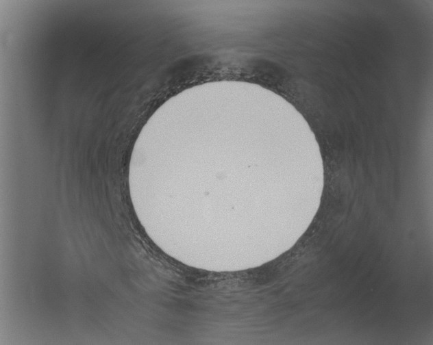 X0000052950769200507300044