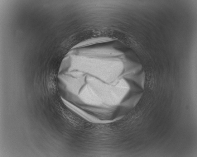 X0000052950770200507300044