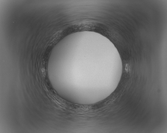X0000052950771200507300044