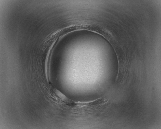 X0000052950773200507300044
