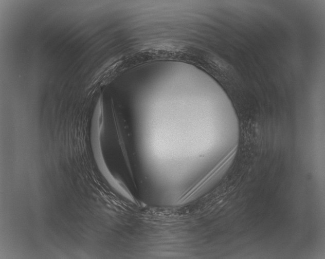 X0000052950774200507300044