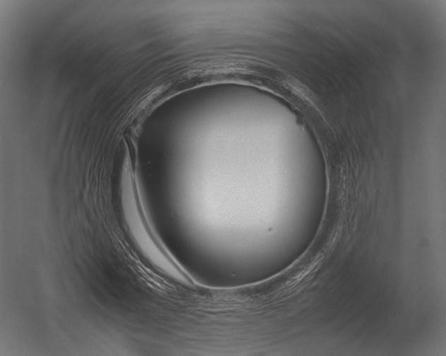 X0000052950777200507300044