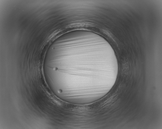 X0000052950778200507300044