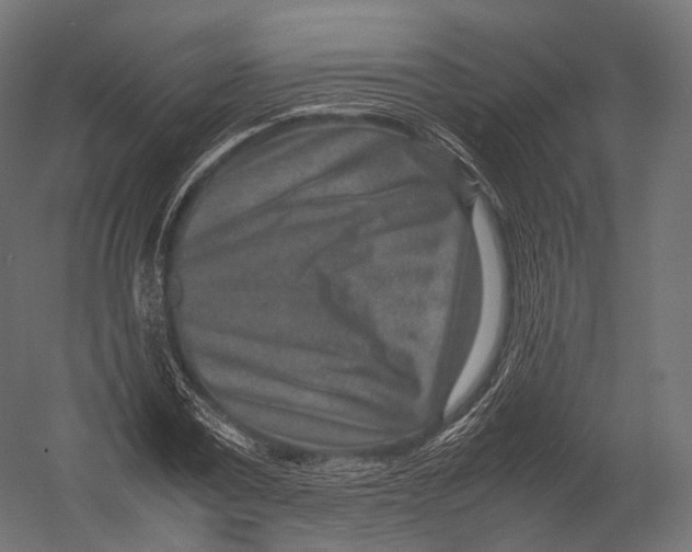 X0000052950779200507300044
