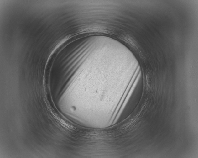X0000052950780200507300044